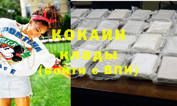 ПСИЛОЦИБИНОВЫЕ ГРИБЫ Осинники