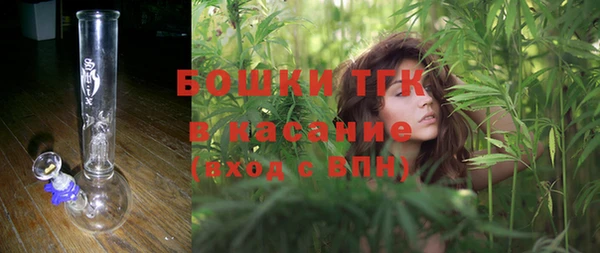 дмт Пестово