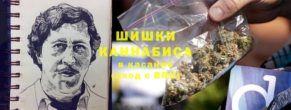 шишки Баксан