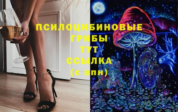 шишки Баксан