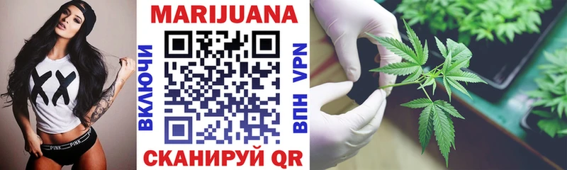 Каннабис OG Kush  Сланцы 
